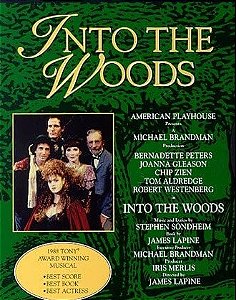 DVD - Into the Woods ( Lacrado )