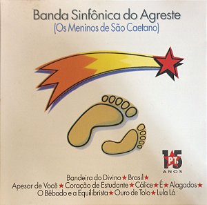 CD - Banda Sinfônica do Alegreste ( Os Meninos de São Caetano )
