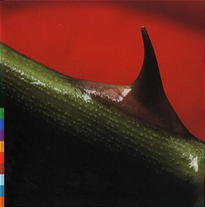 CD - Nusrat Fateh Ali Khan & Michael Brook – Night Song ( IMP - USA )