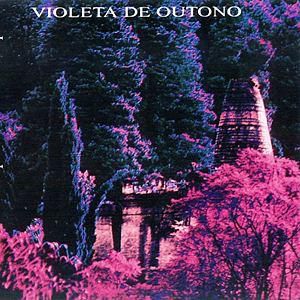 Violeta de Outono - Violeta de Outono