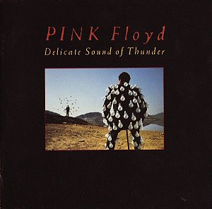 CD - Pink Floyd ‎– Delicate Sound Of Thunder (Cd Duplo)