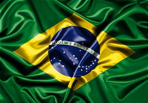 Bandeira do Brasil Copa  Média 10 Un Plástico - Catelândia