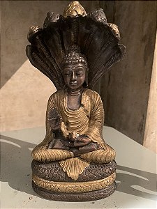 Buda com a Serpente