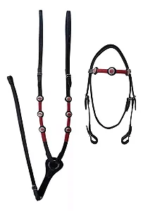 Conjunto de peitoral e cabeçada mangalarga marchador em couro Oferta!!!