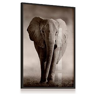 Quadro Decorativo Elefante Selvagem Preto e Branco