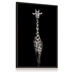 Quadro Decorativo Girafa Preto e Branco Corpo Savana