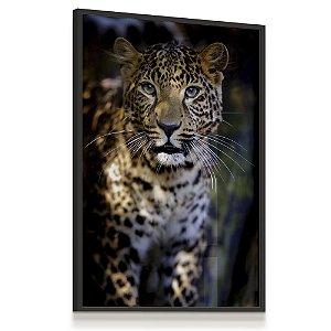 Quadro Decorativo Onça Pintada Animal