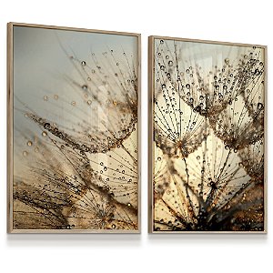 Quadro Decorativo Flor Dente de Leão Gotas de Orvalho Natureza Kit 2