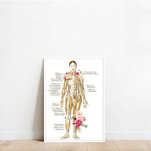 Quadro Decorativo Estética Corporal Spa Clínica Medicina Inglês Português