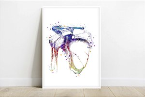 Quadro Decorativo Ombro Anatomia Médica Ortopedia Medicina Ossos