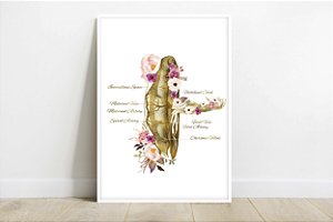 Quadro  Decorativo Obstetra Placenta Obstetrícia Medicina Fetal Anatomia