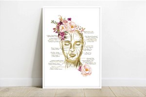 Quadro Decorativo Estética Facial Artérias Botox tradução Português Spa Clínica Esteticista