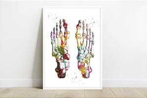 Quadro  Decorativo Anatomia Pé Ossos Medicina Fisioterapia Clínica