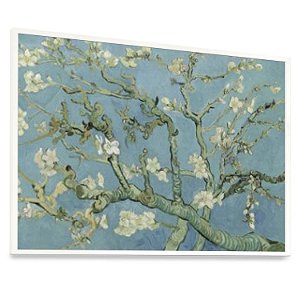 Quadro  Decorativo Amendoeira em Flor Vincent Van Gogh Pintura Arte