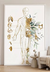 Quadro Decorativo Acupunturista Meridianos Acupuntura Medicina Chinesa
