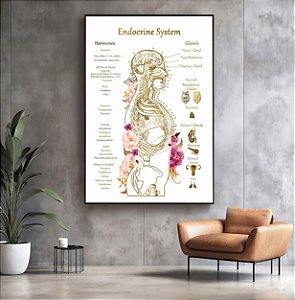 Quadro Decorativo Sistema Endócrino Endocrinologista Clínica Médica Anatomia
