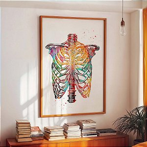Quadro Decorativo Anatomia Esqueleto Humano Tórax Arte Médica
