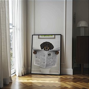 Quadro Decorativo Cachorro Lendo Jornal Dachshund cão-salsicha Animais
