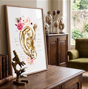 Quadro Decorativo Mapa Auricular Medicina Spa Massagem Anatomia Reflexologia