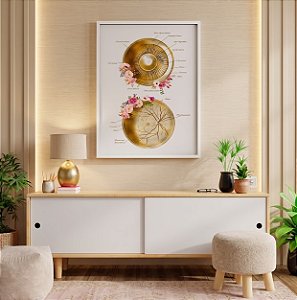 Quadro Decorativo Oftalmologia Oftalmologista Olhos Descrições Medicina Optometria
