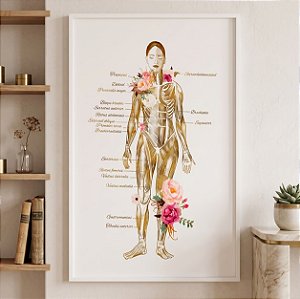 Quadro Decorativo Sistema Estética Corporal Veias Muscular Medicina Anatomia
