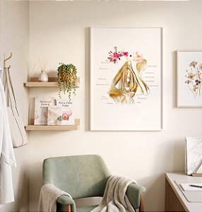 Quadro Decorativo Anatomia Assoalho Pélvico Vulva Ginecologista Obstetrícia