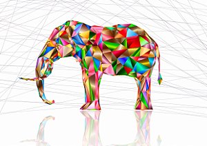 Quadro Decorativo Elefante - AN0001