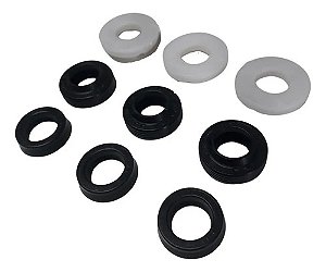 Kit Gaxeta E Retentor Lavadora Alta Pressão Electrolux Ews30