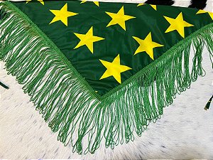Lenço de Franjas com Estampa do Brasil Verde