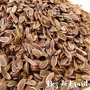 Endro (50g)