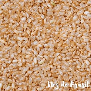 Arroz Integral Cateto Puro (250g)