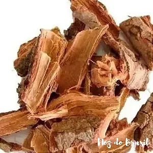 Aroeira Casca (50 g)