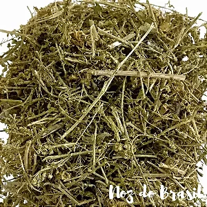 Mentruz - Erva de Santa Maria (50g)