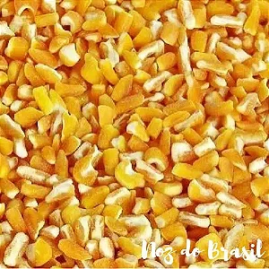 Canjica de Milho Amarela (500g)