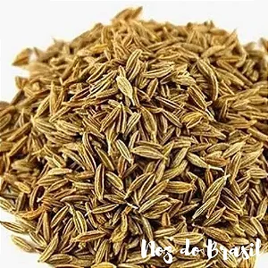 Cominho em Grãos (50g)