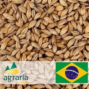 Malte Agraria Pale Ale - 100grs