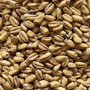 Malte Agraria Trigo Claro - 1kg