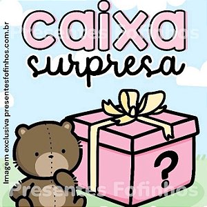 CAIXA SURPRESA FOFURA - 8 A 10 ITENS FOFOS ( Modelo 01)