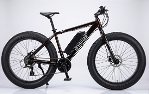 Fat bike elétrica Redstone motor central semi-nova
