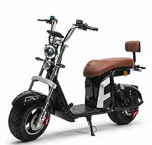 Scooter R13 1000W