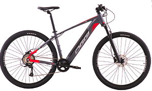 BIC ELETRICA OGGI 29 BW 8.0 ACERA 8V CINZA/VERM M 2024 - DCRE 2024/03980-9