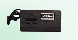 CARREGADOR 3.5A BAT LITIO MCN 48V - BOTTLE pino P4