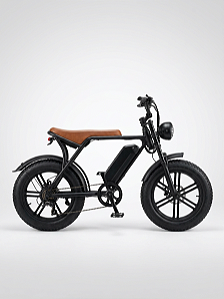 Bicicleta Elétrica V8