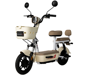 Scooter Elétrica ACE 500W Bateria de Lítio
