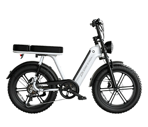 Bicicleta Elétrica Duos E-Koa 1000W Bateria de Lítio Aro 20