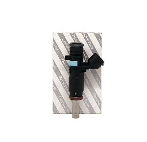 Bico Injetor Renault Kwid/logan/sandero 1.0 17/ - 166003188r