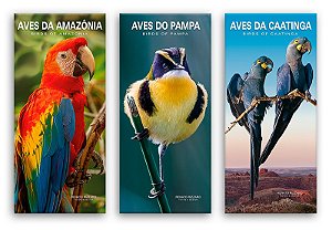 COMBO - 3 Guias - Amazônia, Caatinga e Pampa