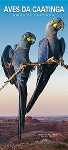 Guia de Bolso das Aves da Caatinga