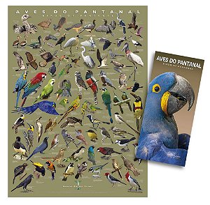 COMBO: Poster + Guia das Aves do Pantanal