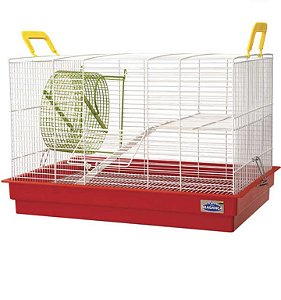 Gaiola Hamster Sírio Bragança